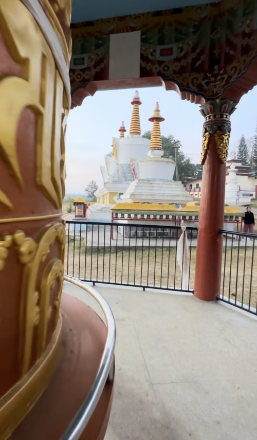 There is still time for you to participate.